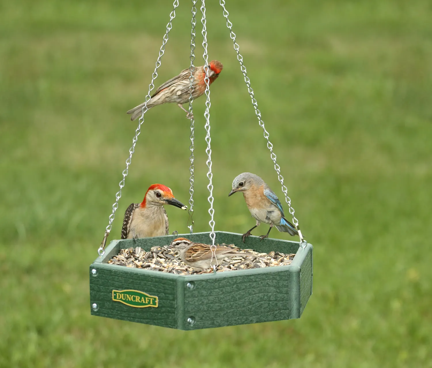 Duncraft Hexagon Hanging Bird Feeder