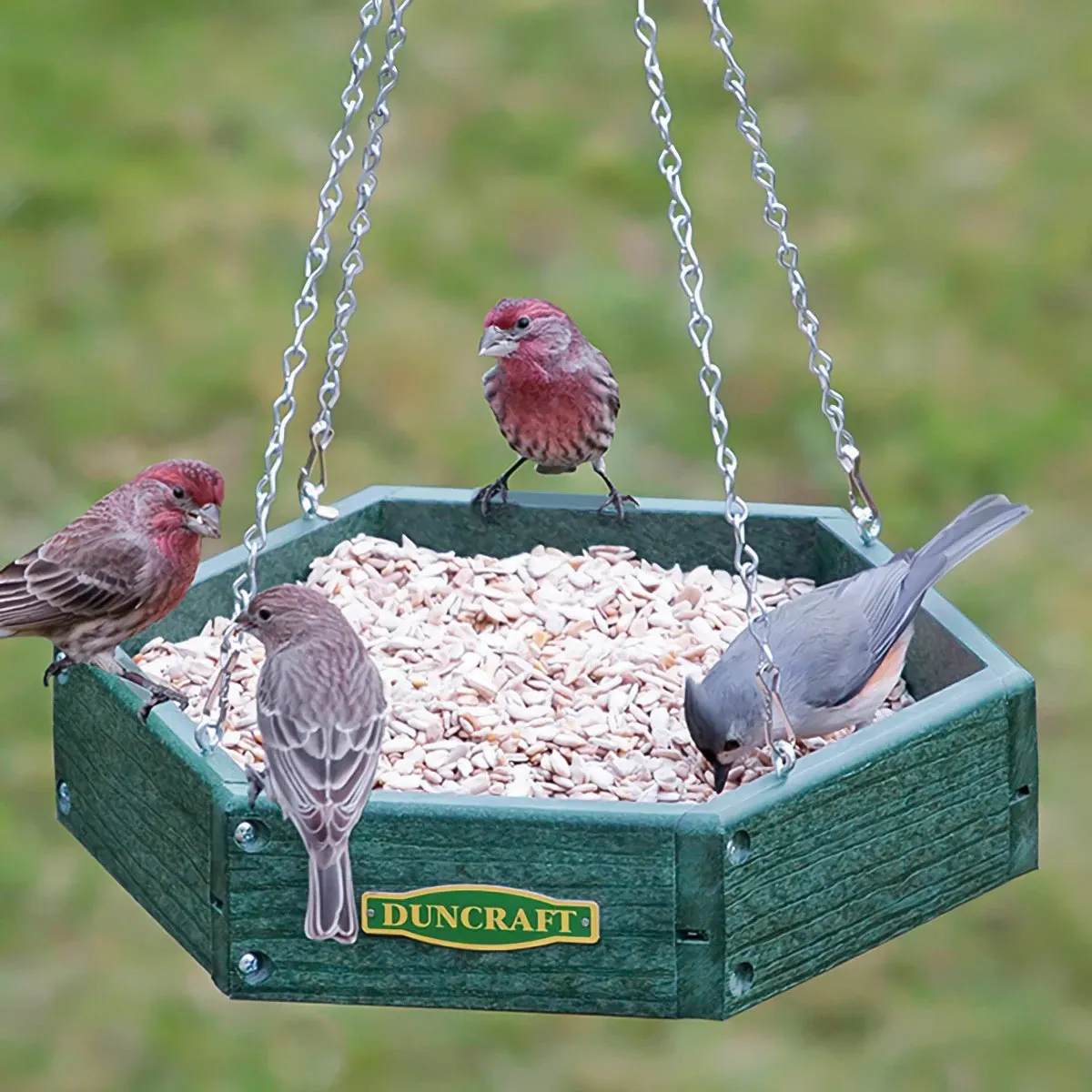 Duncraft Hexagon Hanging Bird Feeder