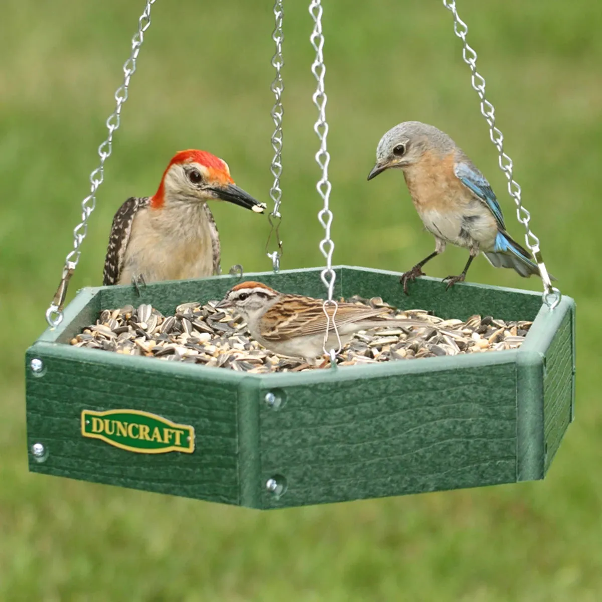 Duncraft Hexagon Hanging Bird Feeder