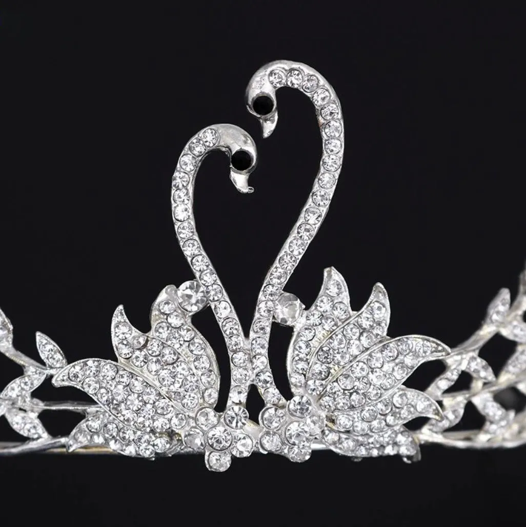 Magnificent Silver Swan Crown