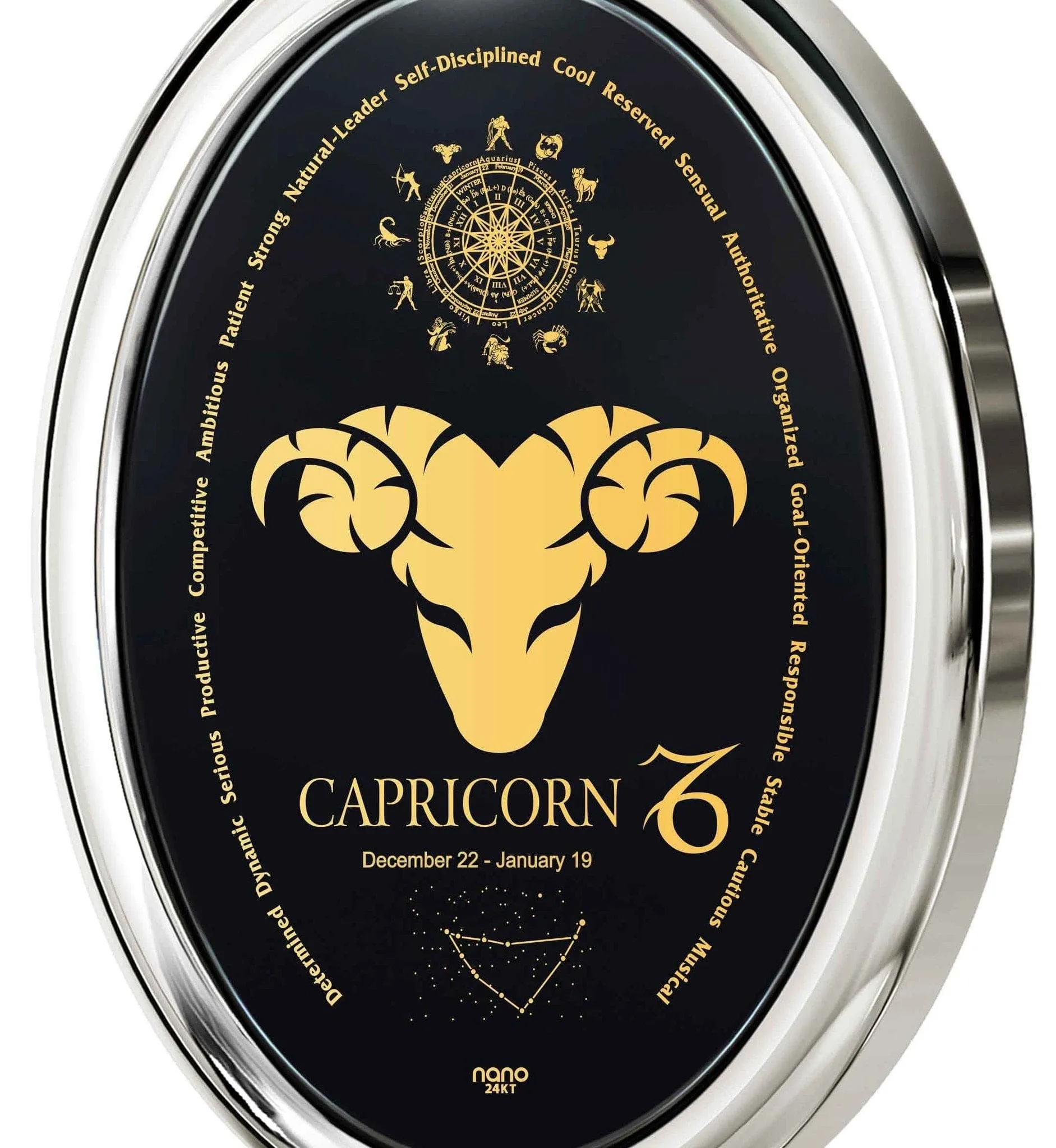 The World of Capricorn, 14k White Gold Necklace, Onyx